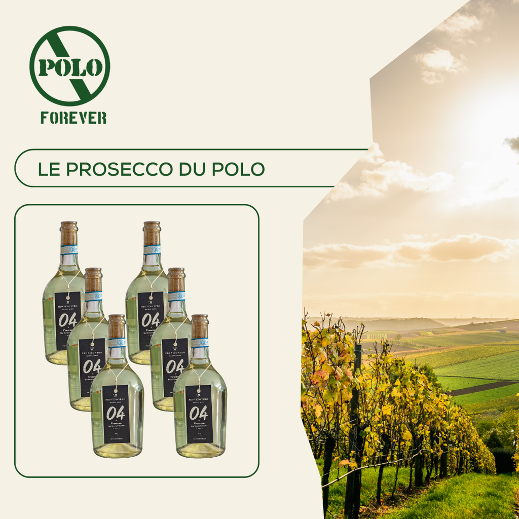 Prosecco Bio Frizzante (Polo) - Caisse de 6